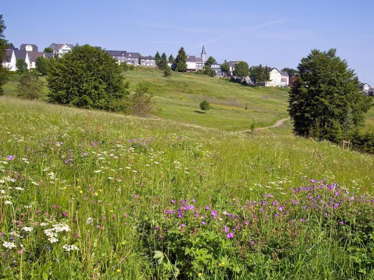 Ferienwohnung "An Den Kurwiesen" Массерберг Экстерьер фото